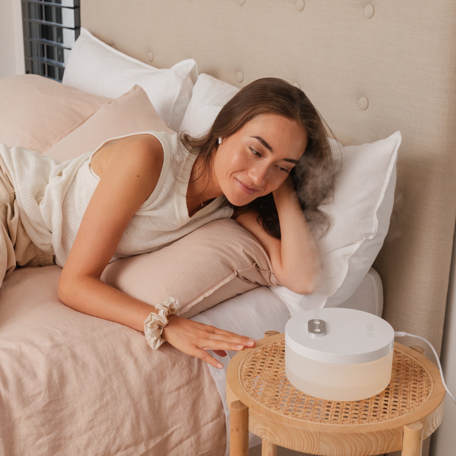 Des Vu Humidifier $95